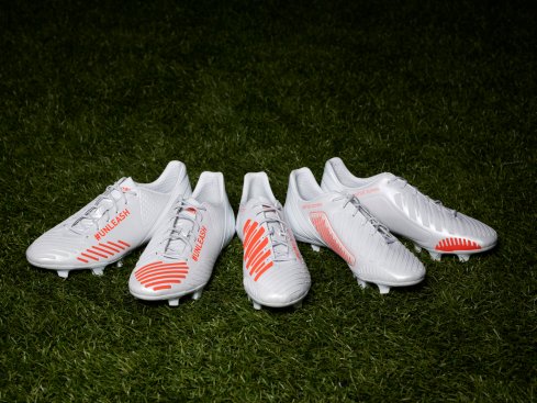 Predator Lethal Zones