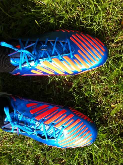 Predator LZ POV