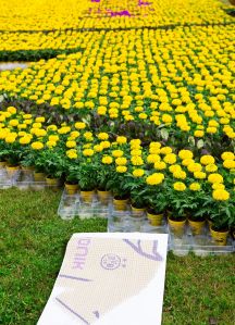 Bild 5_PUMA_BVB Trikotlaunch