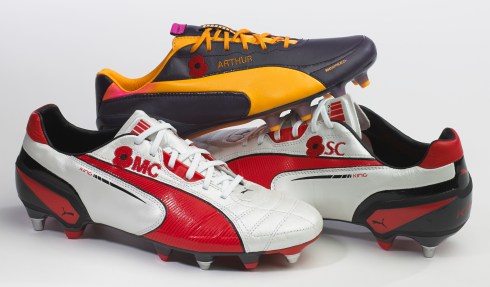 6910-ITG Poppy Group 01