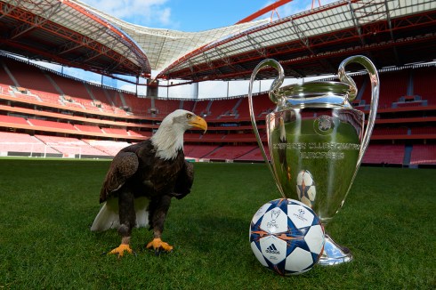 BENFICA EAGLE IMAGE 2